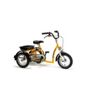 [2202-SA] Tricycle pour Enfant 2202 (Modèle: Safari)