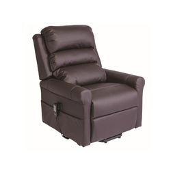 Fauteuil Médical Releveur STYLEA II